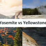 Yosemite Vs Yellowstone